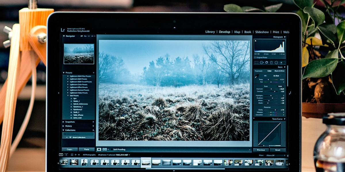 radek-grzybowski-eBRTYyjwpRY-unsplash (1)